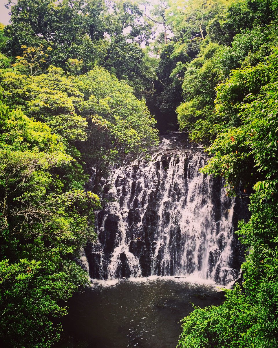 mitalishahi's tweet photo. #waterfall 💦🌳#worldphotographyday 📸 #picture #beauty #beautiful #greenery #scenic #mIstyle #fashionblog #fashionblogger #styleblog #styleblogger #picoftheday https://t.co/1c0lPWgJx2