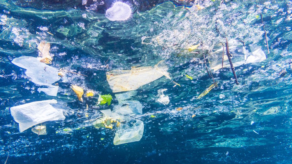 AJEnglish's tweet photo. Today, governments are negotiating a #GlobalOceanTreaty 

What are the biggest threats to our oceans?

🌊 13m tonnes of plastic leaks into the oceans every year
🌊 One million seabirds killed every year by plastic 
🌊 At this rate, plastic will outweigh fish by 2050 https://t.co/kM38TybMgx