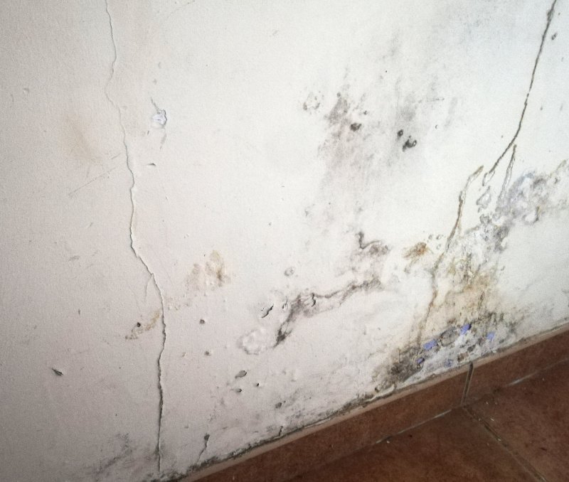 Humedades por capilaridad, como distinguirla y métodos para eliminarla.

grupoescribano.com/blog/25/es/hum…