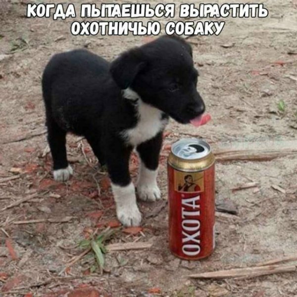 ECWc_5KWkAAdcli?format=jpg&name=small