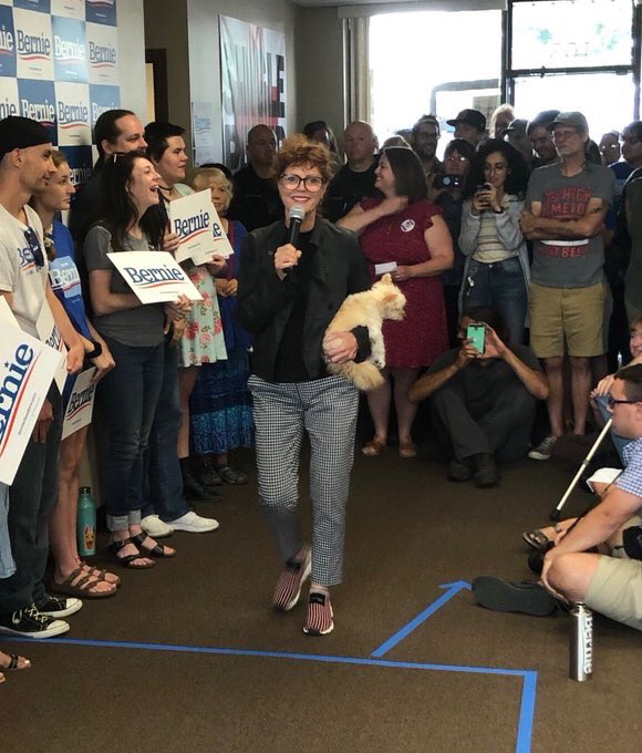 Susan Sarandon appeared to take a swipe at Elizabeth Warren during