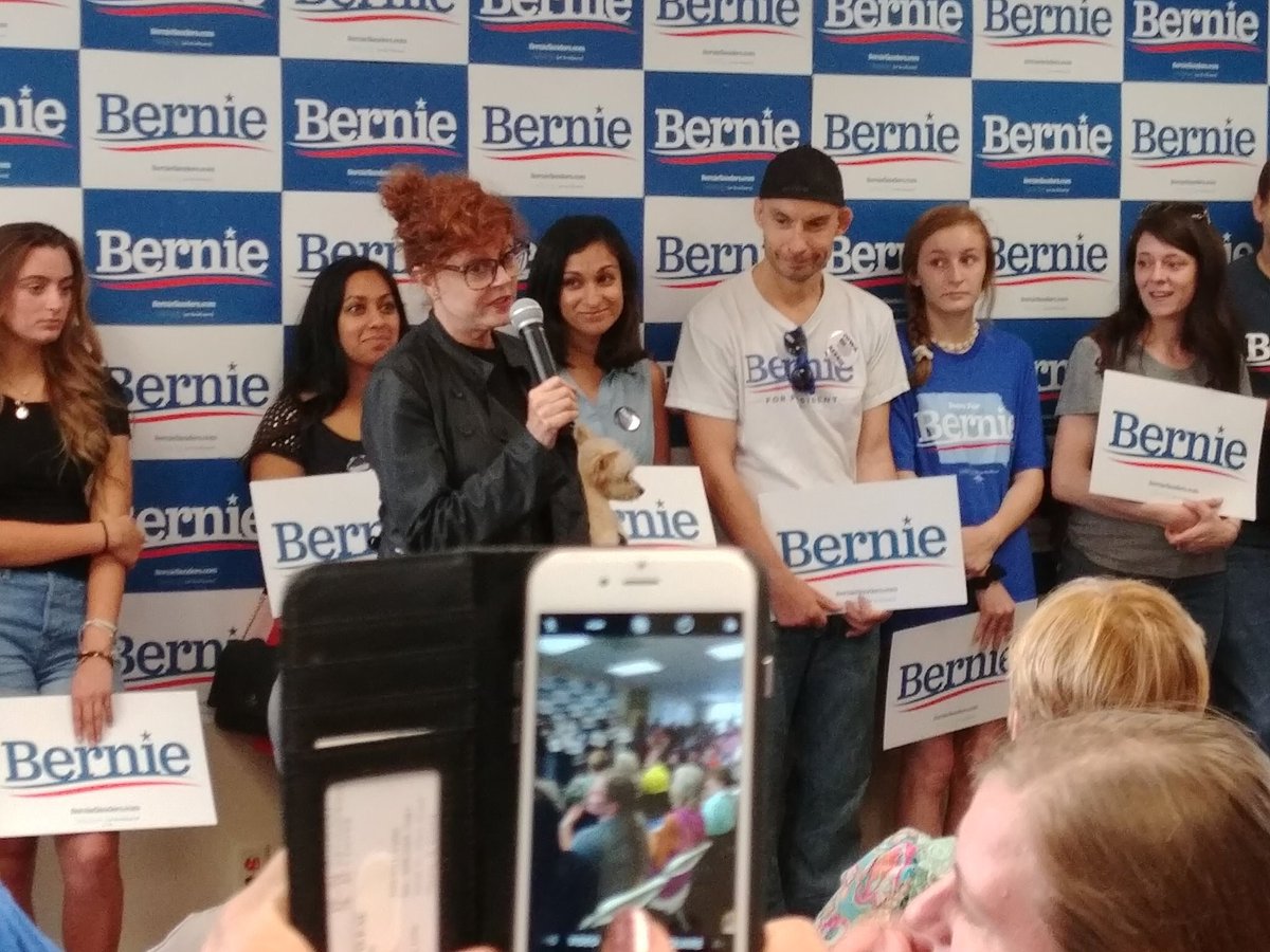 Susan Sarandon appeared to take a swipe at Elizabeth Warren during