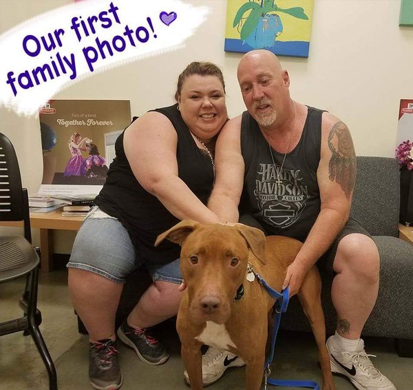 Adopted! #dog #Romeo_SVACCA_03  getpet.info/Romeo_SVACCA_03