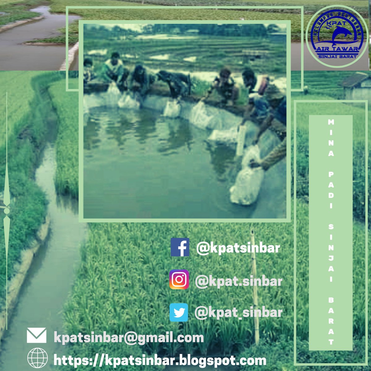 MinaTassika's tweet photo. https://t.co/KaDual0B2W
#kpatsinbar #petanimuda #petanipadi #minapadi #budidayaikan #ikannila #ikanairtawar #sinjaibarat #sinjaikeren
@rustam_rider https://t.co/OR92rCQwvi