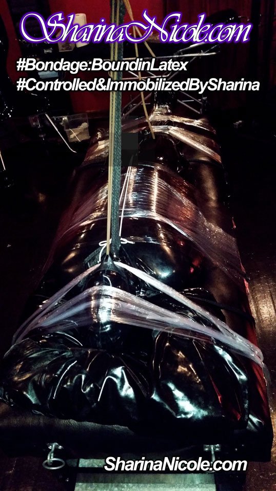 SharinaNicole's tweet photo. #realtimesessions rt! #Dominatrix #Mistress #mndomme #mnfemdom #mplsdominatrix #mplsdomme #mndomina #mnmistress #mplsmistress #mndominatrix #femdom #bdsm #mndomina #mplsdomina #mnfemdom #domina
#latexcatsuit #latexhood #bondage You may need to cancel your other plans #HerControl https://t.co/pVo7SnnUI8