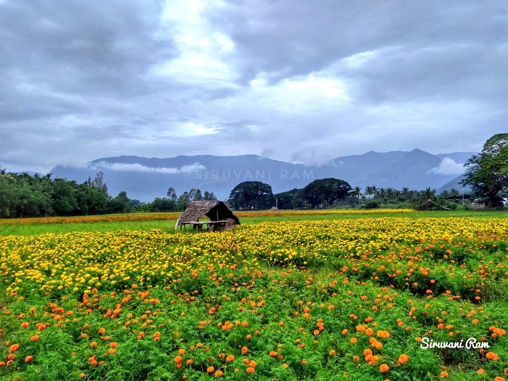 ramkumarg28's tweet photo. World photography day...!
Mobile photography...!
Just loving the nature and clicking it...! 😊😊😊
#WorldPhotographyDay2019
#WorldPhotographyDay
#Shotonmoto
#Motoclicks #Motog5splus #Motographs #Mobilephotography #siruvani_ram https://t.co/4NxjHGqvm2