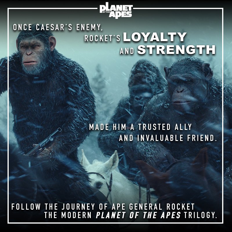 Planet Of The Apes Quotes Twitter 上的Planet Of The Apes:"This Ape General Only Cares About Protecting Everything He Helped Caesar Build. This Is The Story Of #Rocket From #Riseoftheplanet #Dawnoftheplanet And #Warfortheplanet. Https://T.co/Snszuwfzlr" / Twitter Planet Of The Apes Quotes Twitter 上的Planet Of The Apes:"This Ape General Only Cares About Protecting Everything He Helped Caesar Build. This Is The Story Of #Rocket From #Riseoftheplanet #Dawnoftheplanet And #Warfortheplanet. Https://T.co/Snszuwfzlr" / Twitter