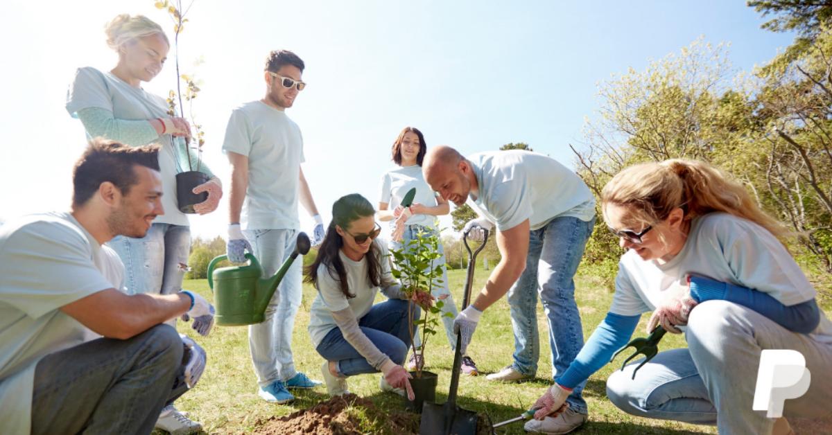 Learn how simple changes to your #Nonprofit's website can strengthen relationships with your donors, and, most importantly, raise more money for your mission. Here are some actions you can take. bit.ly/33CDH9A