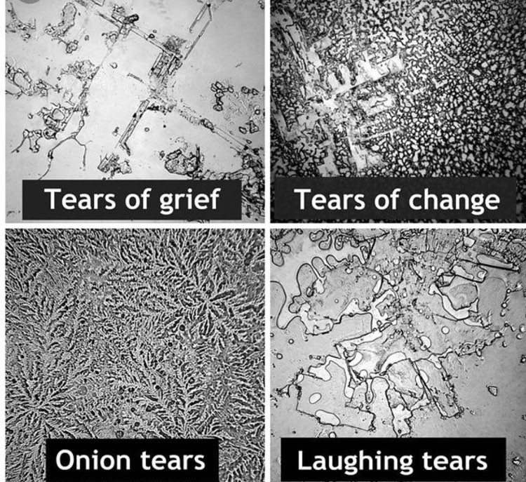 Tears are made up of different chemicals & are structurally different from each other. Different types have distinct molecules. Emotional tears have protein-based hormones including the neurotransmitter leucine enkephalin, which a natural painkiller released when we are stressed.