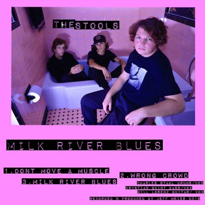 WFB_Records's tweet photo. Now that you've heard their 7" on Third Man Records, hear their tape on WFBR over at the bandcamp. I think there's about 15 of these still available. #thestools #punkrock #detroit  https://t.co/nTnq5apvLw https://t.co/Bq3CghSDg9