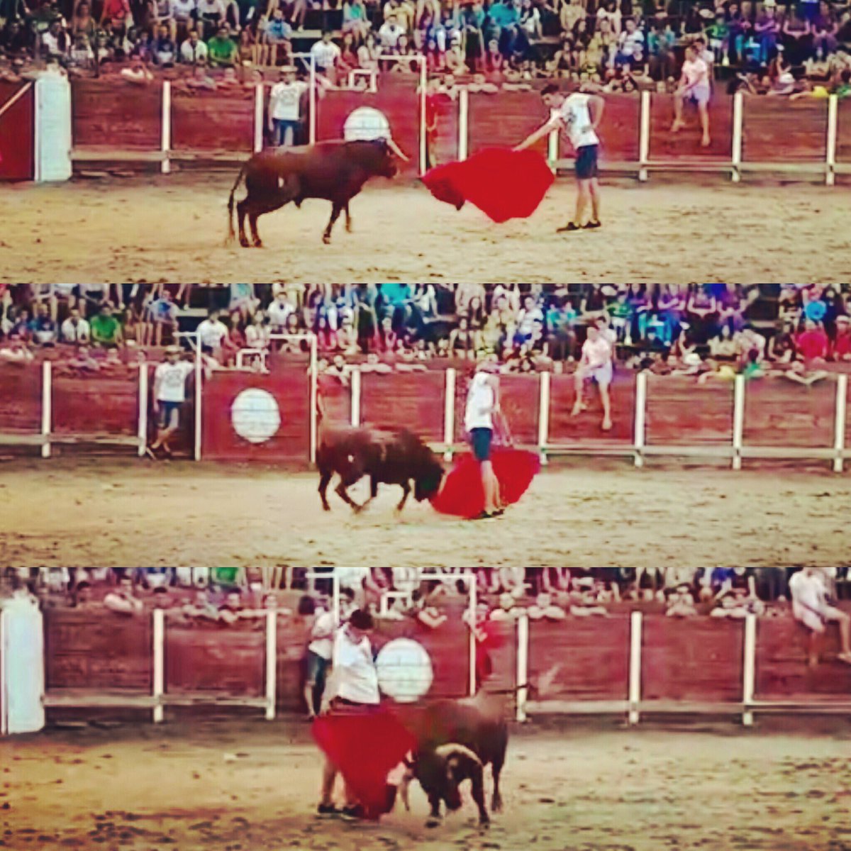 Que bonito es ser torero en la Vida!! #Capea #Toros #Agosto2019