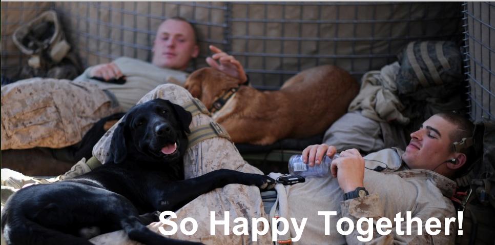 WeLoveDogsUSA's tweet image. Soldiers and their best friends take a much-needed break together! #MilitaryDogs #bombsniffingdogs #ArmyDogs
#ServiceDogs