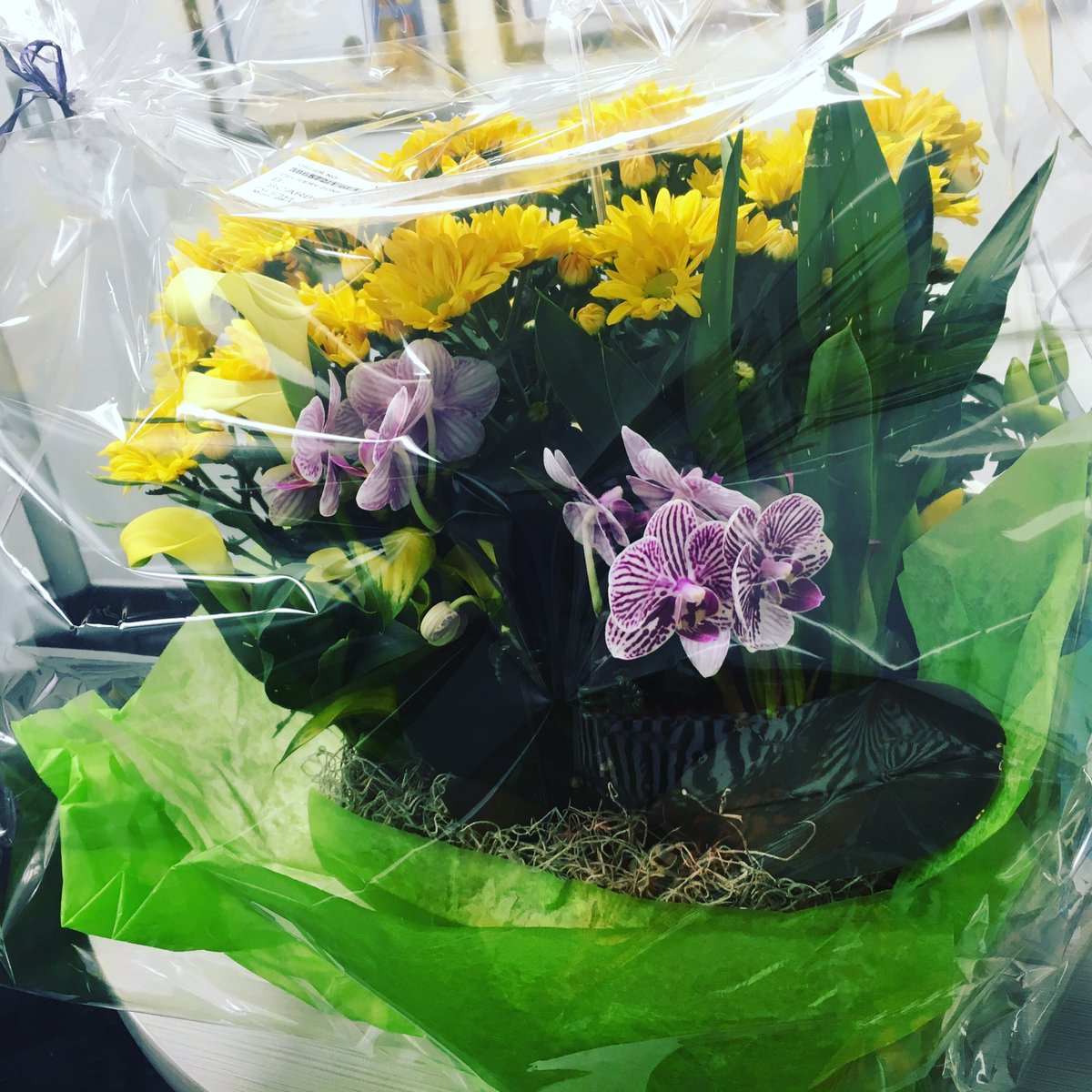 Such a warm welcome to my new role as Acting Dean.  Thank you <a href="/MarilynHerie/">Marilyn Herie</a> #centennialcollege #bestplacetowork