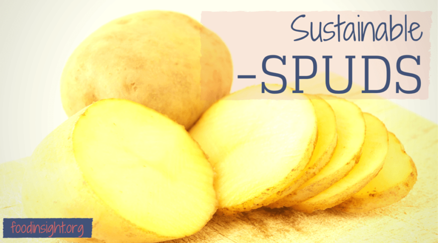 IFIC_Insights's tweet photo. 🥔 🥔 Have you heard of #sustainable spuds? https://t.co/wDvvwTBRTh happy #NationalPotatoDay 🥔 🥔 https://t.co/X2glrWMpPv