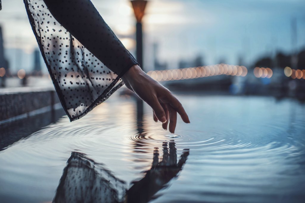 Brandon Woelfel tweet media