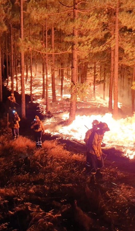 UltrasAccount2 tweet media