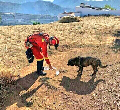 UltrasAccount2 tweet media