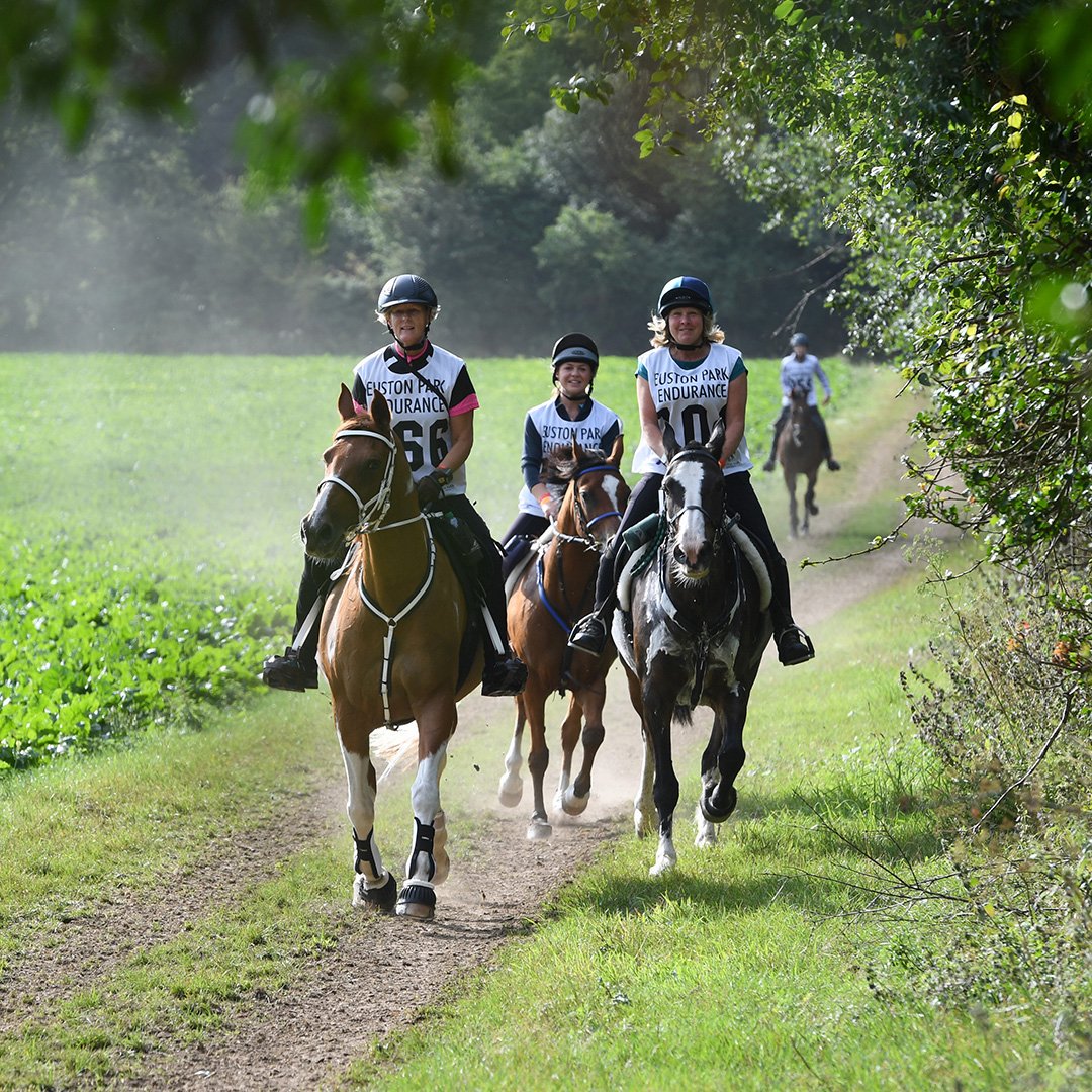 DAY FOUR: NATIONAL RIDES AND FESTIVAL ROUNDUP bit.ly/2Hh6F5g