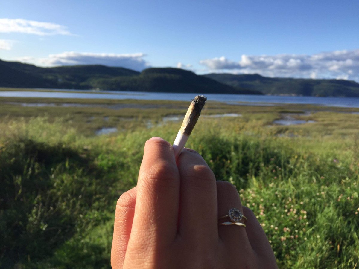 MJBlogCanada's tweet photo. Are you enjoying summer to the fullest? 😉
#stonerfam #MJBlog #puffpuffpass #maryjane #highlife #summer #420babes #420girls #weedart #weshouldsmoke #420model #IamCannabis #travel #cannabis #cannabiscommunity #weed #marijuana #cannabisculture #cannabiscanada #mondaythoughts https://t.co/UuHlkmaI10
