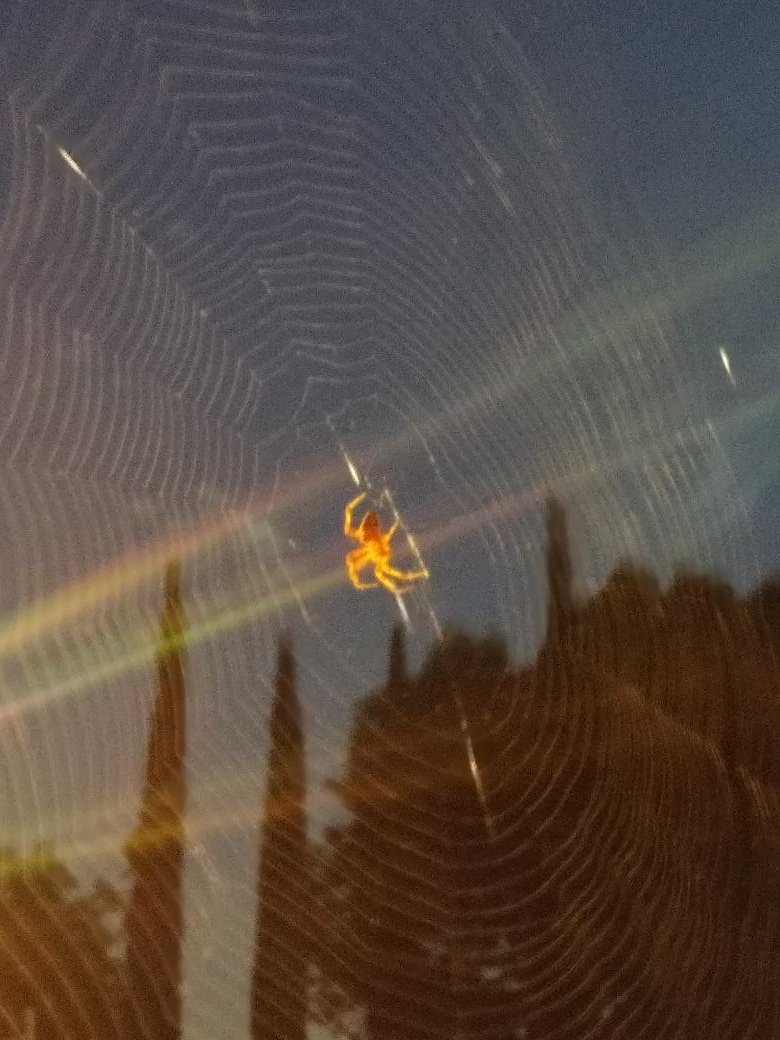 BenjaminRMore's tweet photo. This guy greeted me as I got in my car to go to work. Didn't think it'd be ago photogenic.
#WorldPhotographyDay https://t.co/CGxoSMAxW4