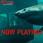 Photo by 47 Meters Down: Uncaged (@47MDown)