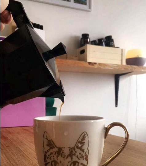 PrimulaProducts's tweet photo. Coffee time is meow.
📷: @imparfaite_petite_hippie
#frenchpress #coffeepress #primulabrew #perfectdailygrind #specialtycoffee #manmakecoffee #manualbrewonly #coffeetime #caffcult #peoplebrewcoffee #baristadaily #instacoffee #coffeeoftheday #coffeesesh #mycoffeecode https://t.co/8w4wsbBugm