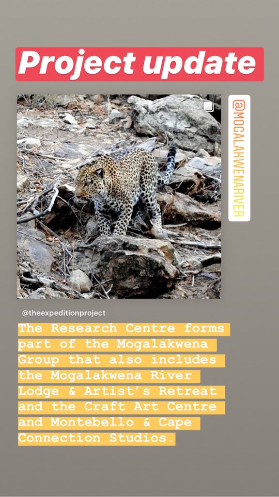 expedition365's tweet photo. The Research Centre forms part of the #Mogalakwena Group that also includes the #MogalakwenaRiverLodge (@Mogalakwena) & #ArtistsRetreat and the #CraftArt Centre and #Montebello & #CapeConnection Studios. Via https://t.co/94cHR50UGf https://t.co/14QCuDxJA2