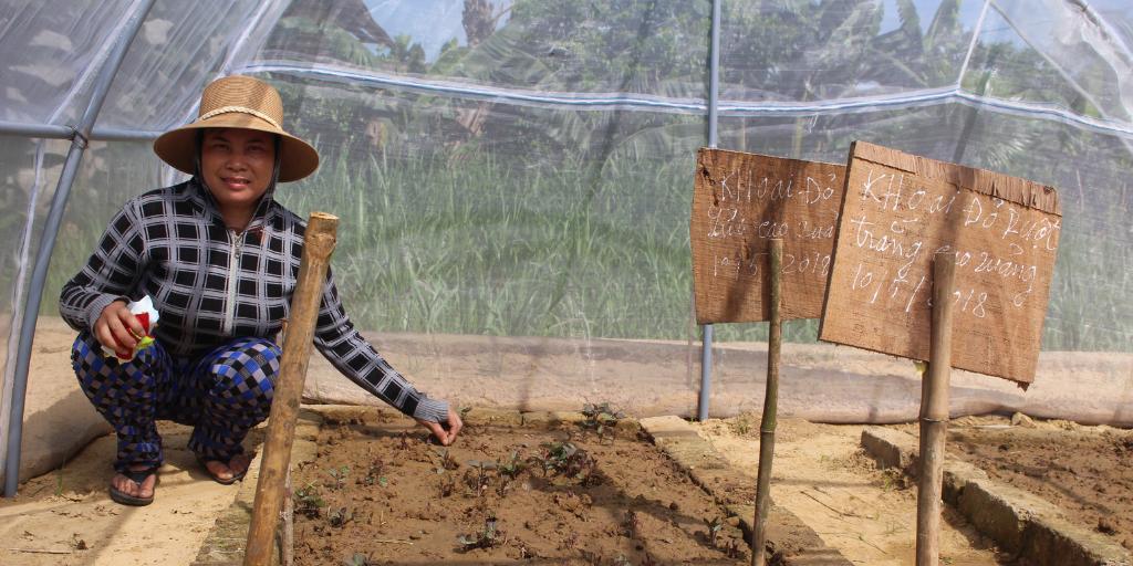 Cipotato's tweet photo. The #FoodStartPlus project introduced farmers to simple effective tools such as net tunnels to protect #sweetpotato vine cuttings from pests & disease. Read our manual.
๐ https://t.co/tOylfrrZcv
๐ธ @IFAD
๐ธ @CIAT_
๐ธ @RTB_CGIAR
#FoodSTARTPlus https://t.co/U6WkfdFcUr