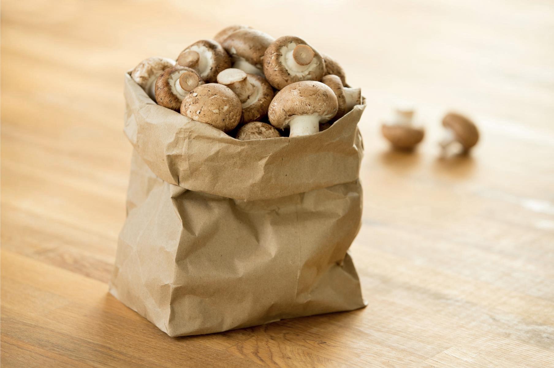 Western Foods on Twitter: &quot;Great #FoodFacts from the @MushroomCouncil! To  prolong their shelf life, store your mushrooms in their original packaging  or a porous paper bag! https://t.co/o5LXTEYlRS https://t.co/QQQh5k1icm&quot; /  Twitter