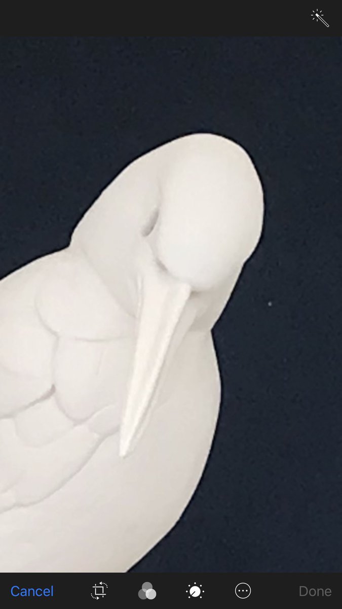 Animalsculptor's tweet photo. My latest sculpture in porcelain ‘Kingfisher Blue’. Ready for Southern Nature Art Exhibition, opening to the public this Friday. #wildlife#Kingfisher#sculpture#Art#porcelain#Southernnatureartexhibition https://t.co/oszb6C25Oh