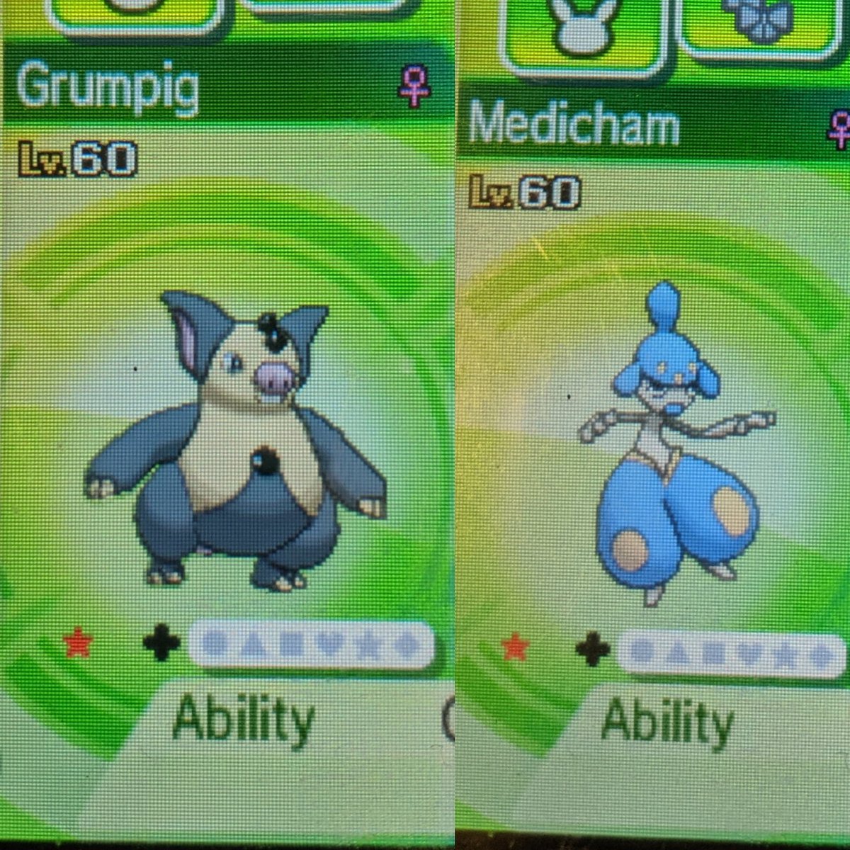 GilluinPost's tweet photo. I've just got two shiny Pokémons in the Ultra Wormhole. I am so proud of myself. Finally I am getting the hang of that mini game. :) #shinypokemon #shinyhunting #pokemonusum #ultrawormhole #shinygrumpig #shinymedicham https://t.co/MwwB9BomXR