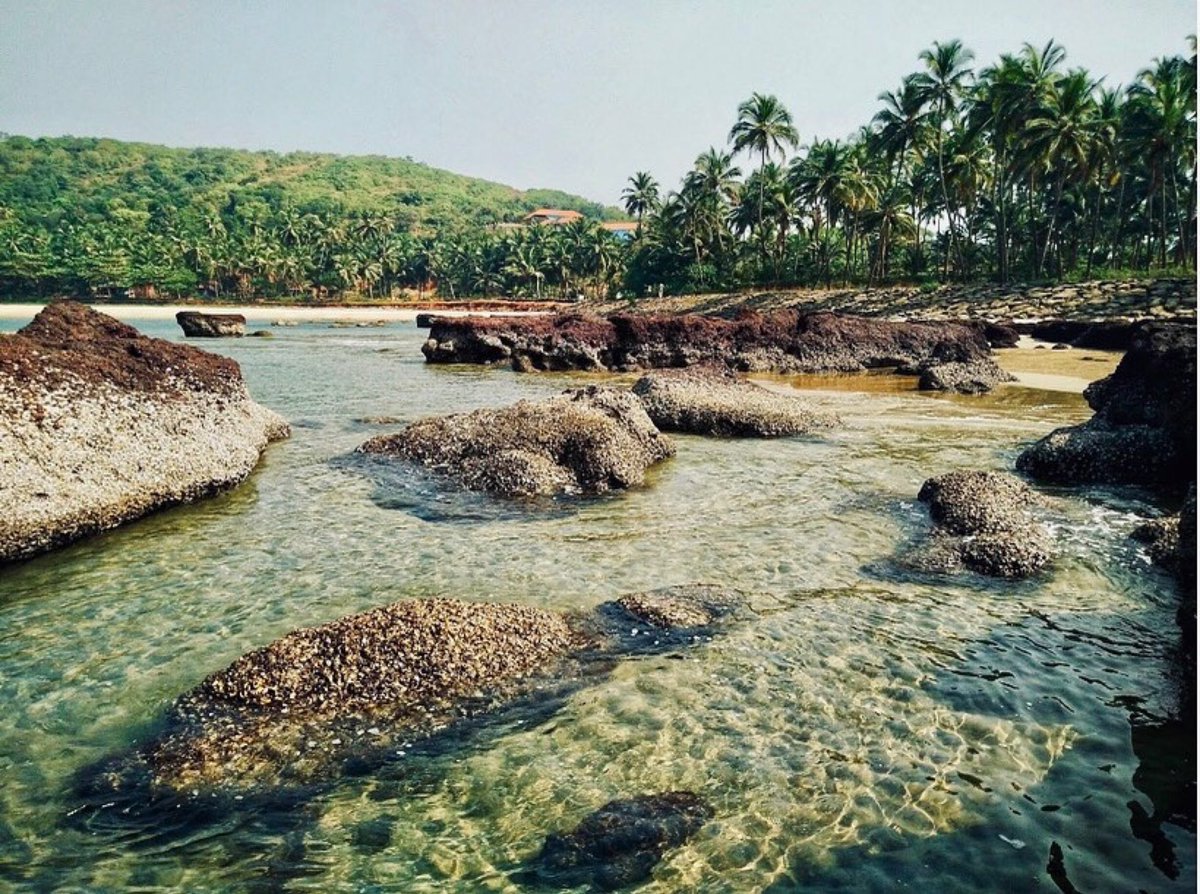 With the sun shining again, we are looking forward to lazy days on our beautiful beach in Sindhudurg.
Who would you love to be stranded on our picturesque beach with? Tag them down below!