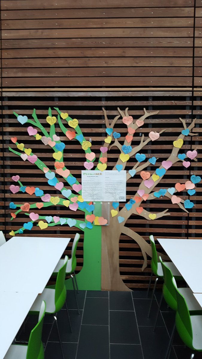 DrIMcLellanUWS's tweet photo. At the @UniWestScotland Ayr Campus this evening and I'm just seeing the #Dementia #PledgeTree for the first time. What a lovely thing to have. https://t.co/AwcLqRGZ0u