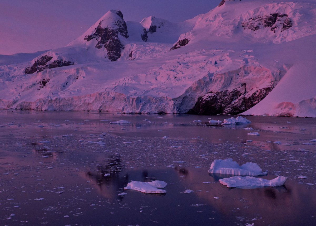 In honor of #worldphotographyday, we would like to highlight @oliver_wheeldon, a long-time friend and creative contributor to the #2041foundation team. Go follow his account for amazing travel photos from around the world. Pictured here is a shot from Oli of #nekoharbor. #IAE2016