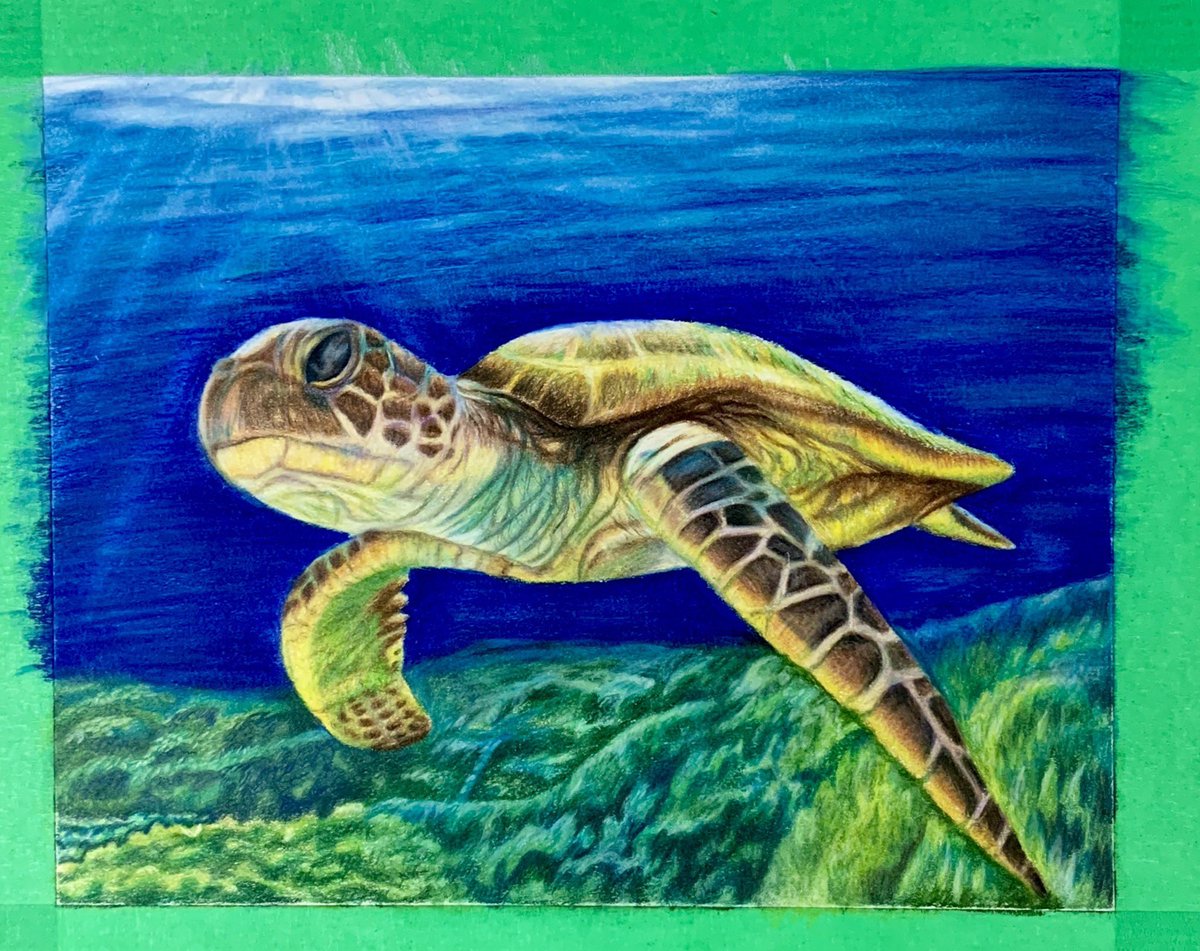 Robynbartist's tweet photo. So happy my commission is completed! #ArtistOnTwitter #turttle #myartwork #drawing #artist https://t.co/lXt5LJdw4l