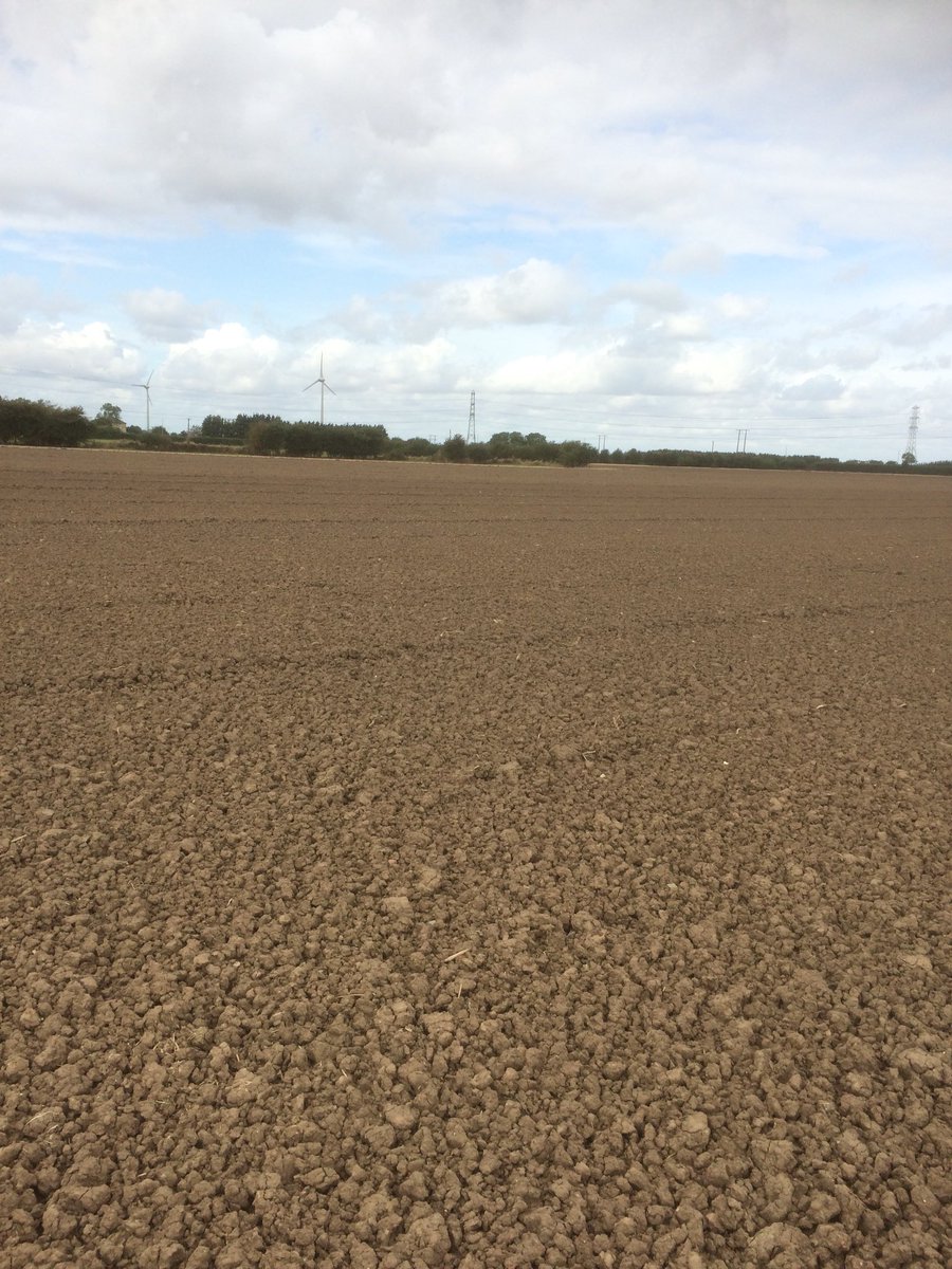 pauldwright3's tweet image. Manage to get out for a few hours yesterday was happy with the pipe tamper 😊