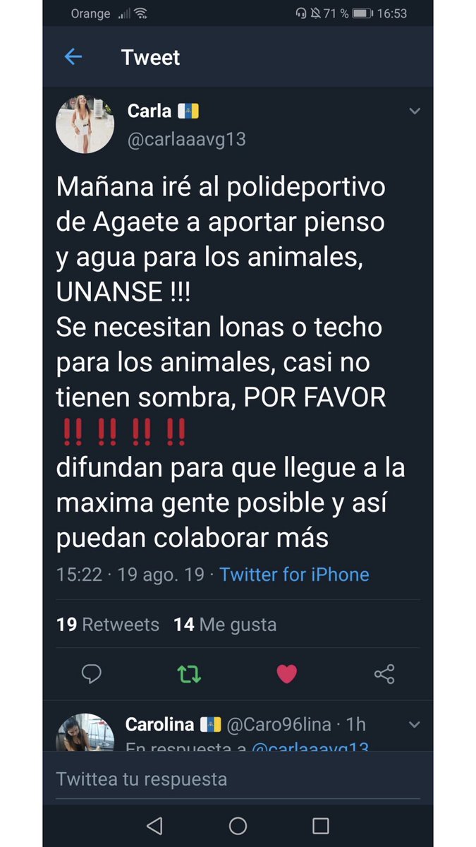 KNariasOficial's tweet photo. Se nos parte el alma.... 
difundan a ver si entre todos podemos ayudar a los animales que pudieron salvar del incendio 😭 #IFGranCanaria #IFTejeda #IFvalleseco #FuerzaGranCanaria #Fuerzacanarias #canariasunica @PartidoPACMA #canariasunida https://t.co/ANI1DjpWGK