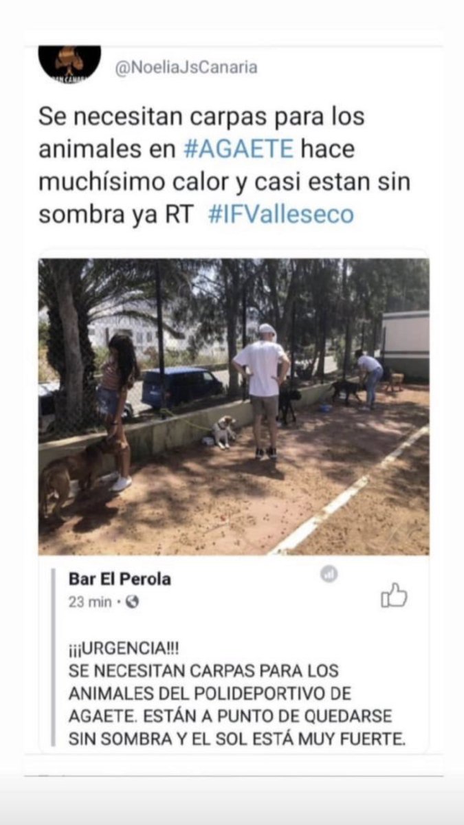 KNariasOficial's tweet photo. Se nos parte el alma.... 
difundan a ver si entre todos podemos ayudar a los animales que pudieron salvar del incendio 😭 #IFGranCanaria #IFTejeda #IFvalleseco #FuerzaGranCanaria #Fuerzacanarias #canariasunica @PartidoPACMA #canariasunida https://t.co/ANI1DjpWGK