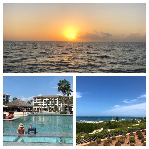 lynseY minihan tweet media