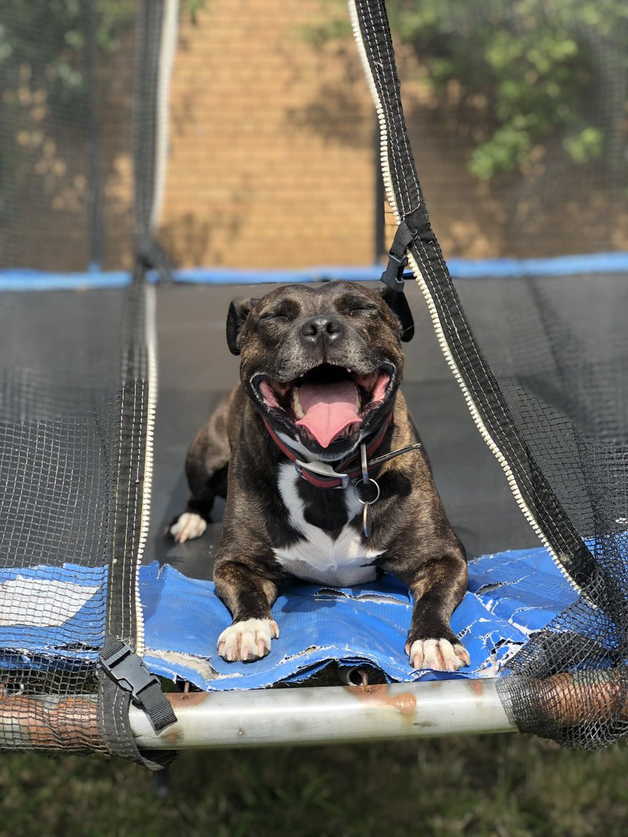 MaisyandBonnie's tweet image. Maisy and Bonnie ❤️