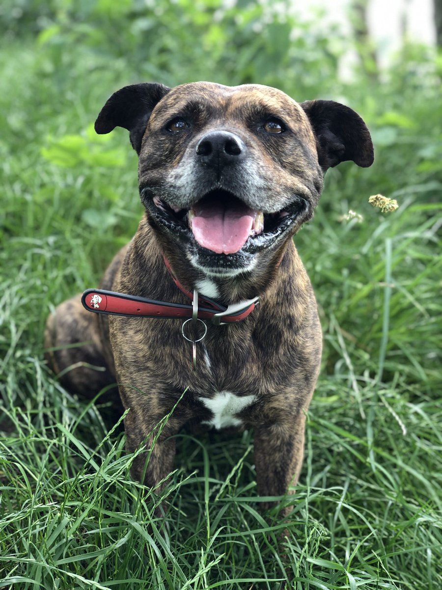 MaisyandBonnie's tweet image. Maisy and Bonnie ❤️