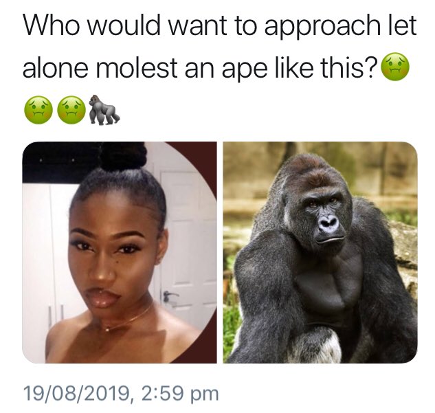 PaulTHalliday's tweet photo. And yet again, the rehashing of that standard #racist visual trope of Black woman as gorilla that seems all the rage in these ‘post race’ times.
@LTHdebate #LessThanHumanDebate https://t.co/jBvOfrj1Sj