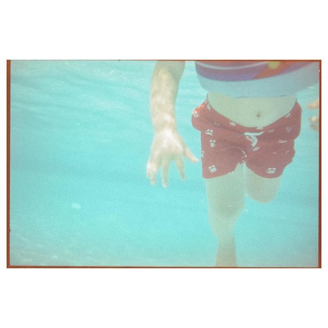 theexplorerdad's tweet photo. A summary of my summer. Film &amp; pools.
.
.
.
.
.
#35mmphotography #blackandwhite #filmisnotdead #somewheremagazine #art #istillshootfilm #ishootfilm #believeinfilm #analog #thefilmcommunity #grainisgood #filmfeed #kodak #photography #staybrokeshootfilm #f… https://t.co/ckAuvWpuMP https://t.co/qyIUFS7dQG