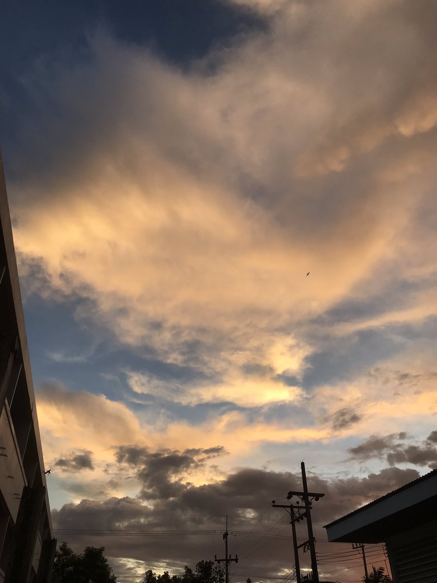 🌻นายท่าน🌻|close tweet media
