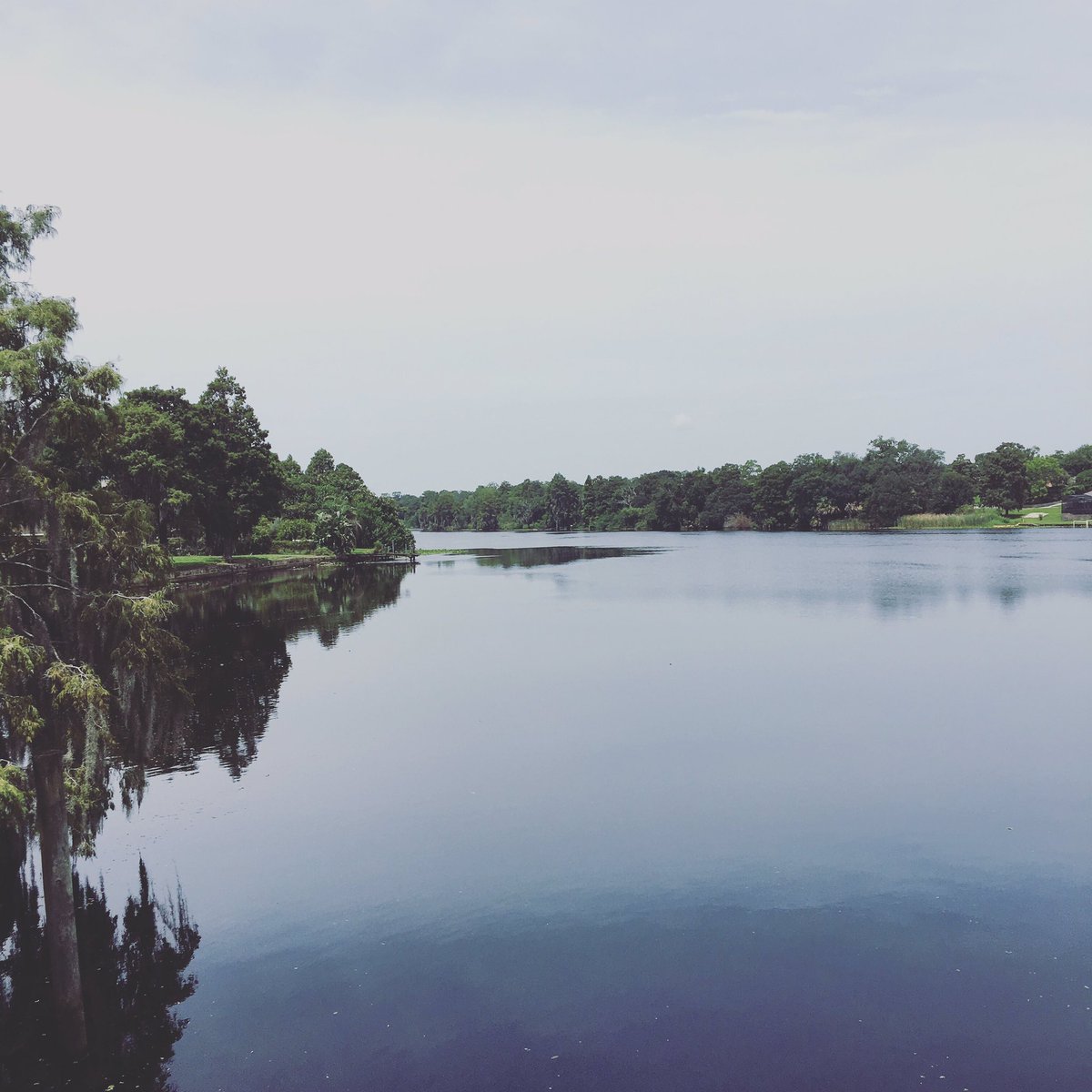 NyssaHanger's tweet photo. Today I am grateful for first, realizing I was only a 5 min walk from the river and second, for taking that walk. The river knows, and I’m working on being a better listener. #101gratitude #hillsboroughriver what are you grateful for? https://t.co/EFh71AZ9J4