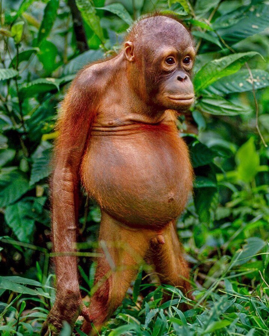 UncleChaps's tweet photo. Me when I turned off the shower and forgot my towel https://t.co/uULfI8Ky8x
