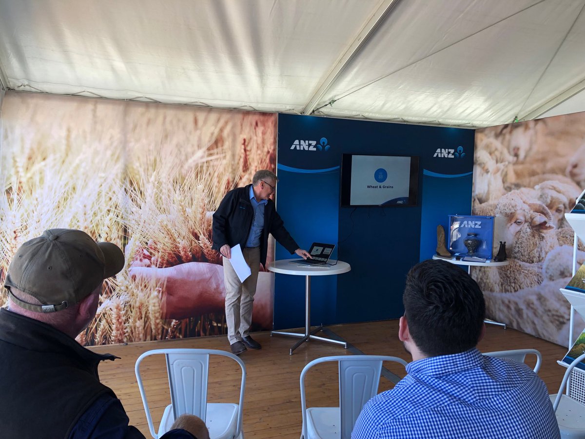 Ann-Maree Galagher tweet media