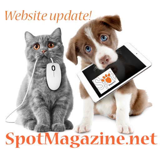 SpotMagazine's tweet photo. Visit our pupdated website https://t.co/HzUsSZhCPa Anything else you'd like to see? Please share!
#northwest #petmagazine #northwestpets #northwestdogs #pnwlife #pnwpets #spotmagazine #bendpets #pdxpets https://t.co/cmmimki4YG