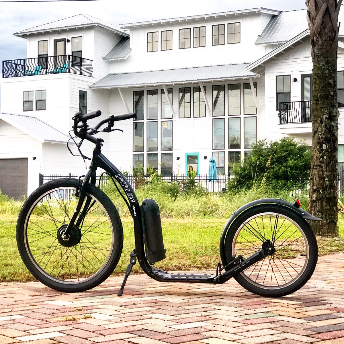 fatmax electric bike