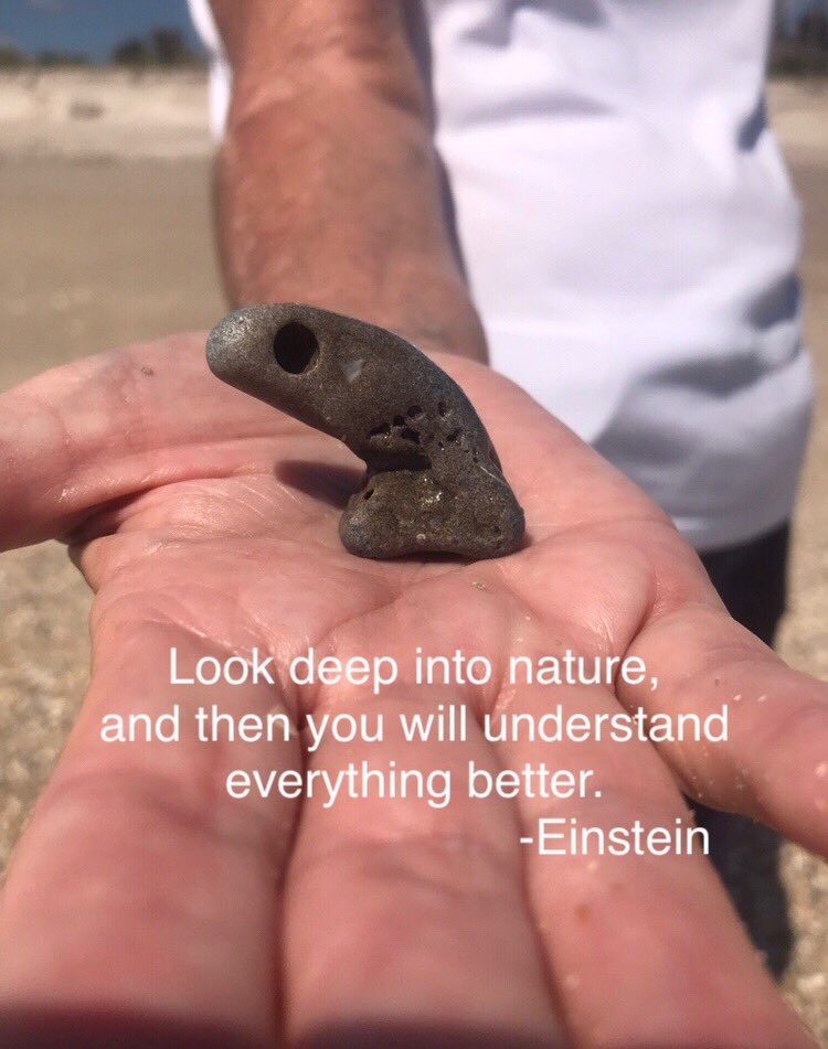 I found this shell on the beach too. What do you see? #motivationmonday #mondaythoughts #adventure